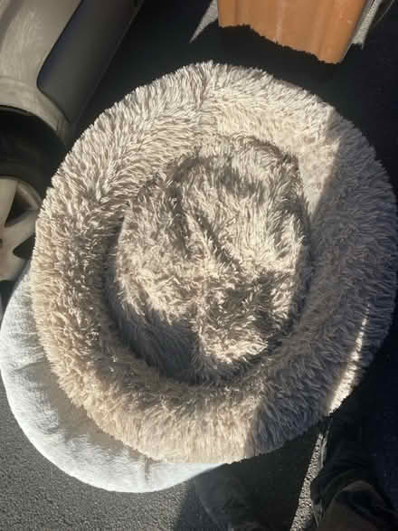 Photo of free Dog bed snd toys (Golborne WA3) #2