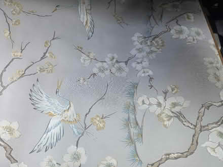 Photo of free Wallpaper (Cyncoed, CF23) #1