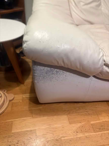 Photo of free Sofa (Rotherham S60) #2