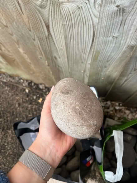 Photo of free Garden pebbles (Melbourn SG8) #2