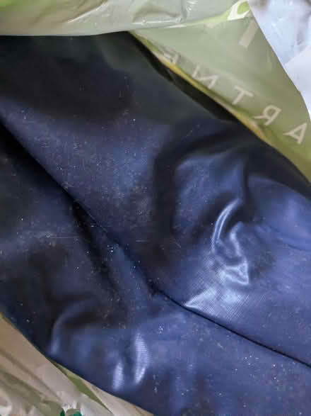 Photo of free 2 blow up beds (Frenchay BS16) #1