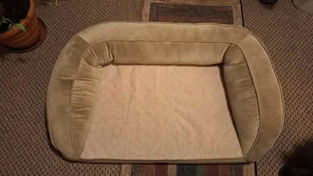 Photo of free Dog bed (Hillmorton CV22) #1