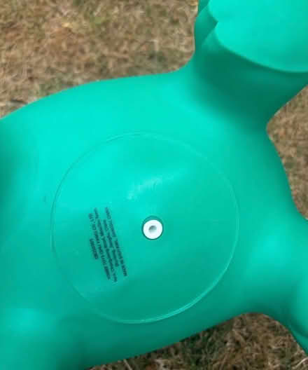 Photo of free Inflatable dinosaur medium size (Bannister Green CM6) #4