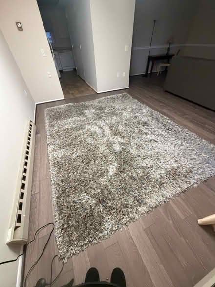 Photo of free Area rug (Leisure World 20906) #2