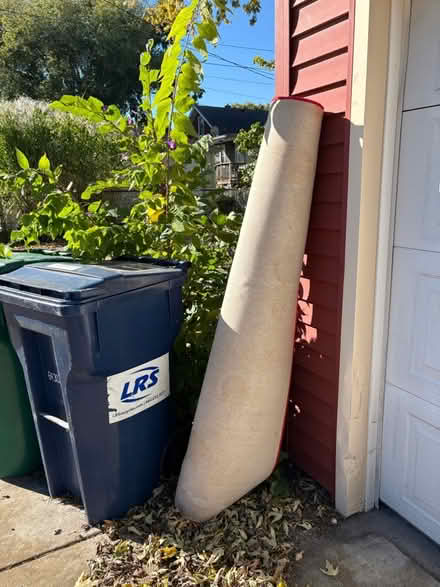Photo of free Bright red Ikea rug (South Oak Park) #1