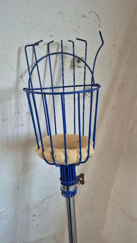 Photo of free Fruit/Apple Picker (Worle BS22) #1