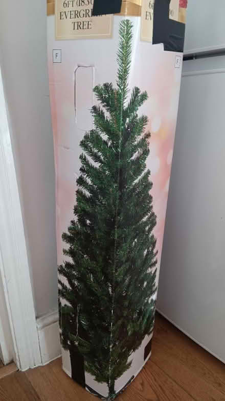 Photo of free Christmas tree (North, east london N22) #1