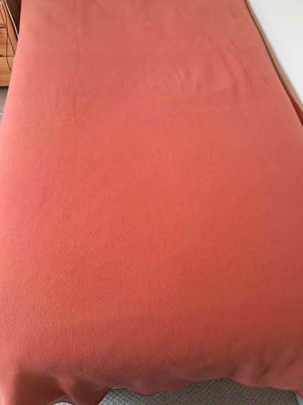 Photo of free Large fleece blanket (Newtown, Reading, RG1.) #2
