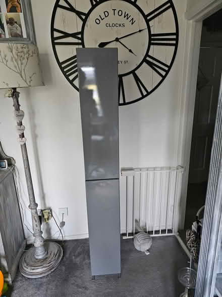 Photo of free Tall storage cupboard (Headley KT18 6) #2