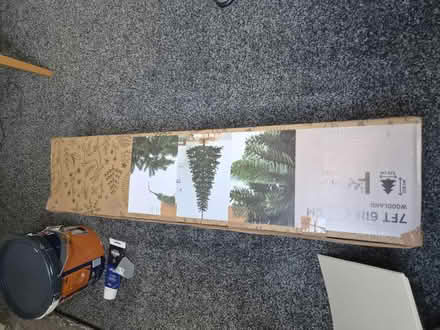 Photo of free Christmas tree (G44 5QA) #4