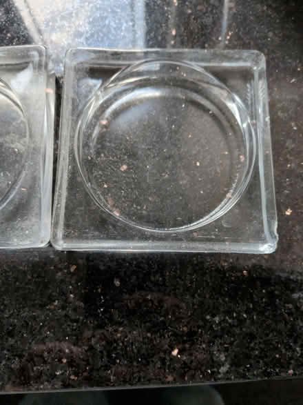 Photo of free Pair of ashtrays (WV11 Essington) #1