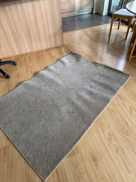 Photo of free Water damaged Duneln rug (Whitechapel E1) #1