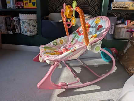Photo of free Baby bouncer (EN4) #2