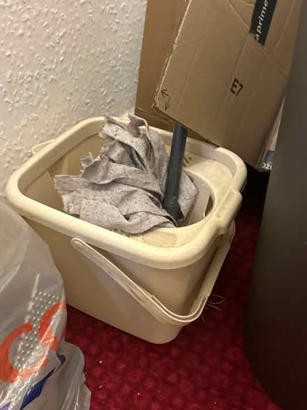 Photo of free Vileda mop and bucket (SW2) #2