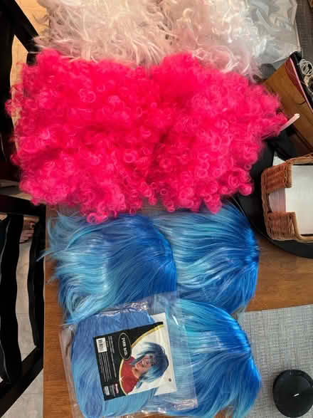 Photo of free Halloween: wigs & straw hats (Villages of Urbana) #1