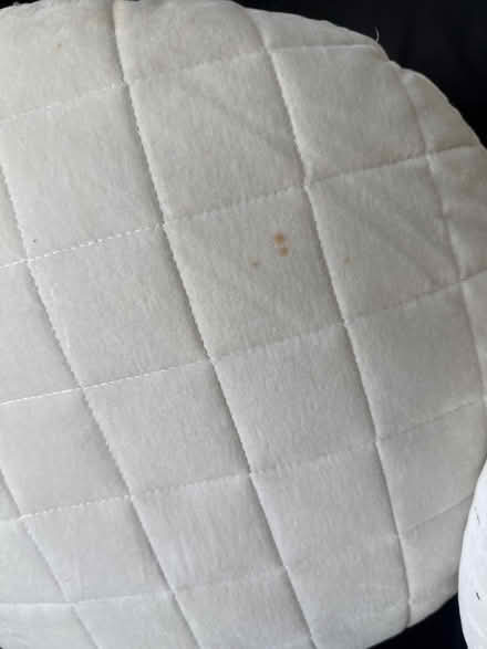Photo of free Round cushions (Kennedy Sheppard) #2