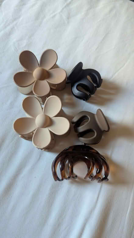 Photo of free Hair clips assorted (Aberdeen AB24) #1