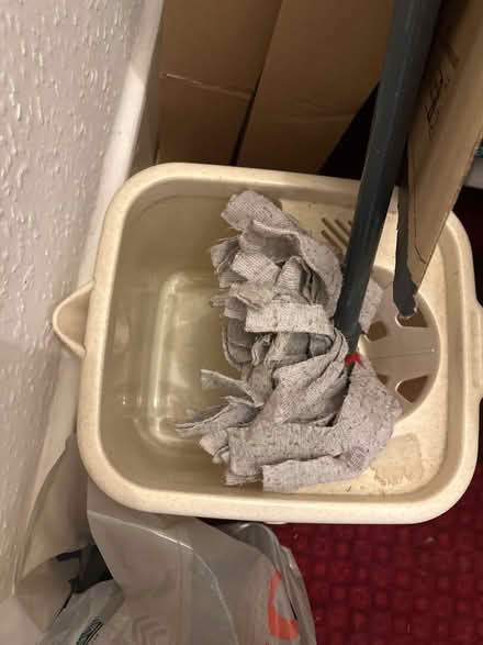 Photo of free Vileda mop and bucket (SW2) #3