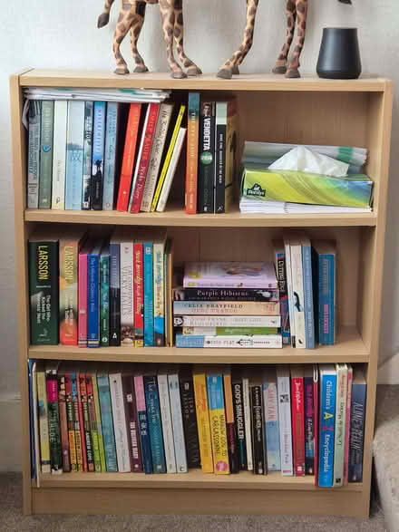 Photo of free Small bookcases (Plainmoor TQ1) #1