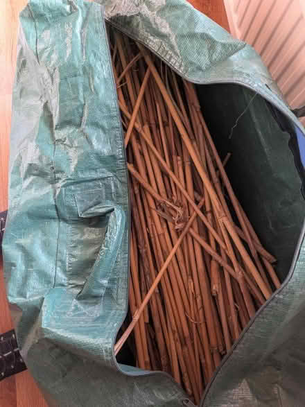 Photo of free Bag of dozens of bamboo plant canes (Maidstone ME15) #1