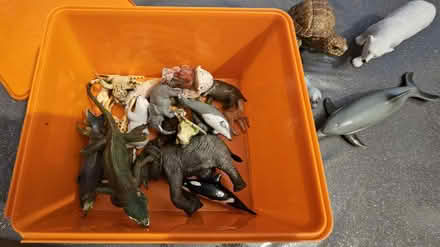 Photo of free Kids plastic animals (Coventry, CV3) #1