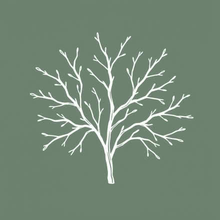 Photo of Dry twigs and branches (Smalley DE7) #1