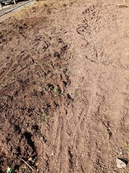 Photo of free Soil (Tq149sg) #1