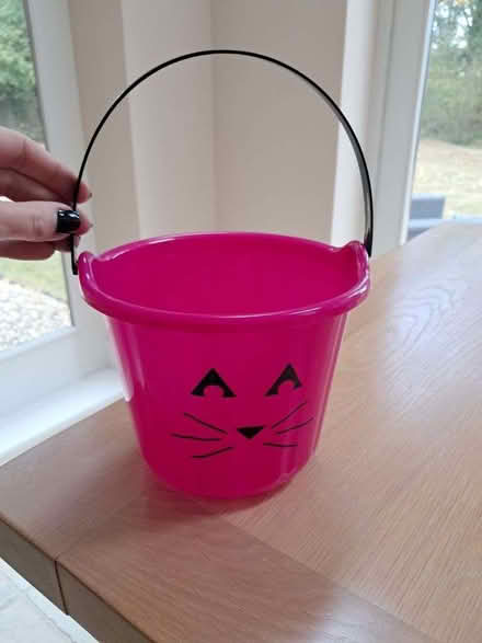 Photo of free hot-pink, cat-print Halloween trick or treat bucket (Hoddesdon EN11) #1
