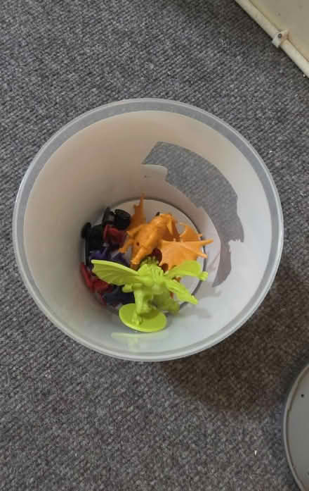 Photo of free Plastic Dragons (London road, bath BA1) #1