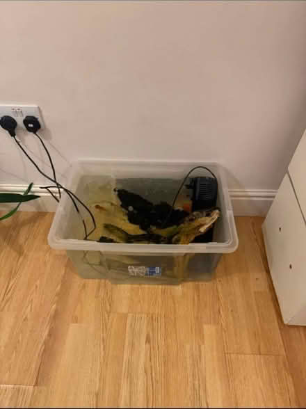 Photo of Fish Tank (Heywood OL10) #1