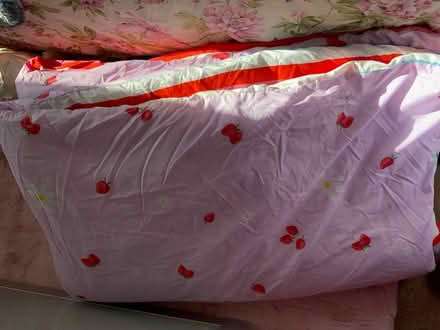 Photo of free Single quilt and cover (Aspley NG8) #1