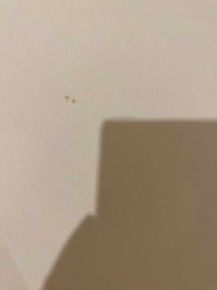 Photo of free Set of 4 single sheets (Weybridge KT13) #2