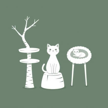 Photo of Two big Cat trees and small cat tress and cat beds and cat (Barnacle CV7) #1