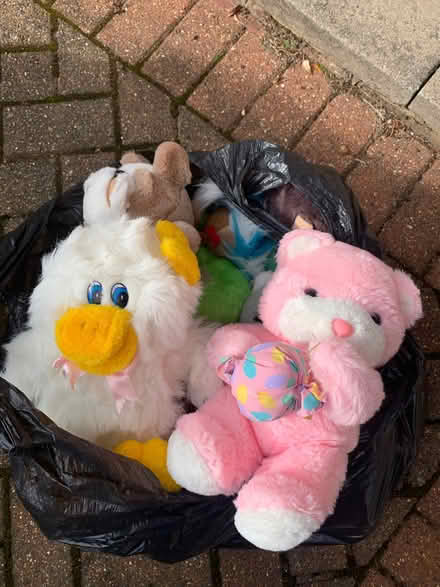 Photo of free Cuddly toys (Rooks Nest SG1) #1