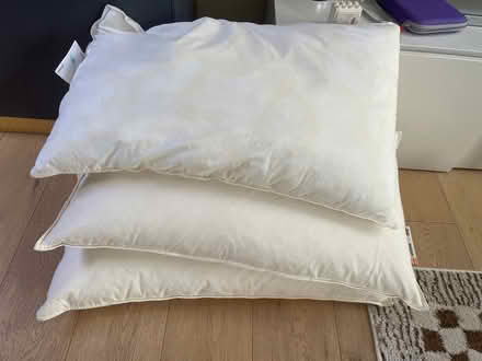 Photo of free 3 feather pillows in good condition (Brockley SE4) #1