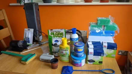 Photo of free Fish tank accessories (Kenilworth) #2