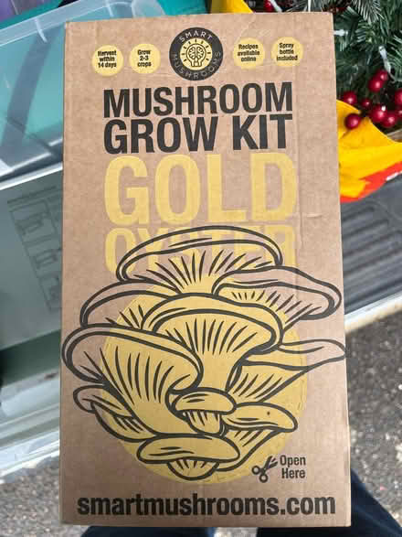 Photo of free Mushroom Growing Kit (Letchworth SG6) #1