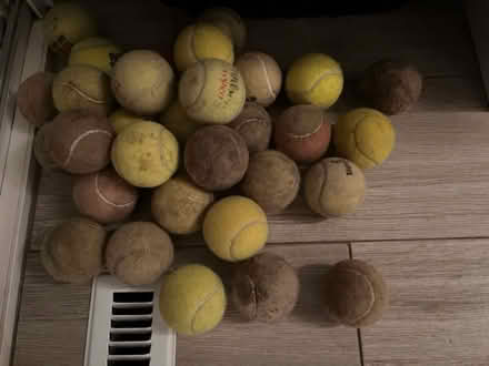 Photo of free Tennis balls (60015) #1