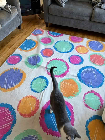 Photo of free Ruggable Washable 5x7 Rug (Livonia/Redford border 7 Mile) #1