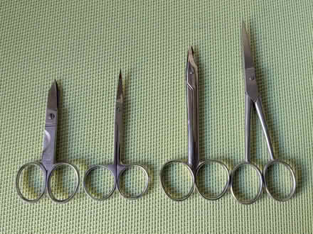 Photo of free Nail Scissors (Beulah Hill SE19) #1