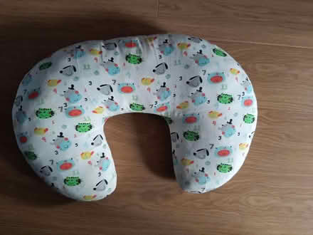 Photo of free Breastfeeding pillow (Grove) #1