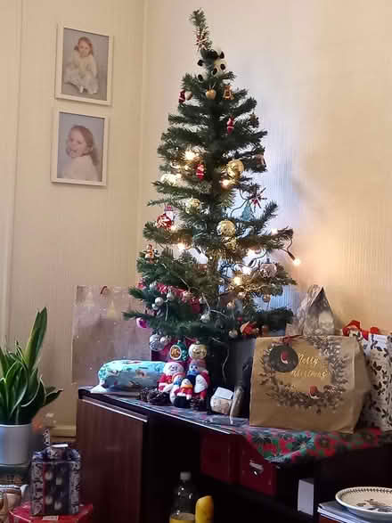Photo of free Argos 4ft green Christmas tree (16 boston close SK7) #1