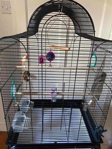 Photo of free Bird cage on stand (Eton SL4) #2