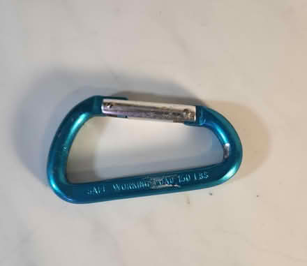 Photo of free Carabiner 2" (Danforth and Greenwood) #1