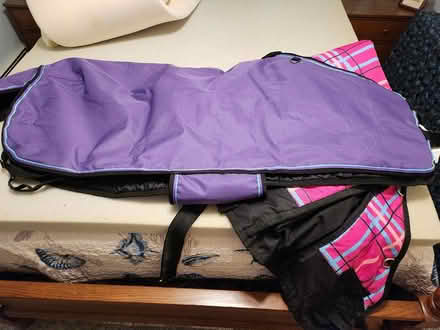 Photo of free Shetland pony size coats (Hampton CT, near General Store) #2