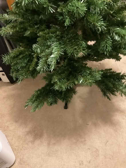 Photo of free Christmas tree (BD19 Cleckheaton) #4