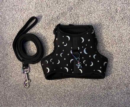 Photo of free Pet harnesses and slow feeder (Wilmington) #4