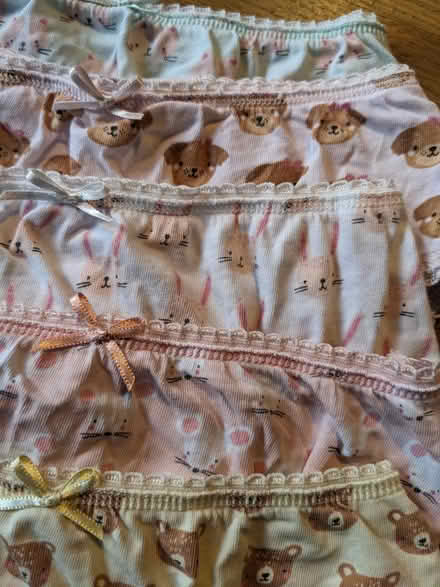 Photo of free Girls knickers age 5-6 (Staplehurst TN12) #4