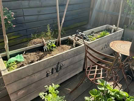 Photo of free Orto raised planters on wheels (Carlton North) #3