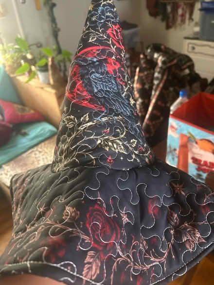 Photo of free Witch hat - new (Alameda) #2